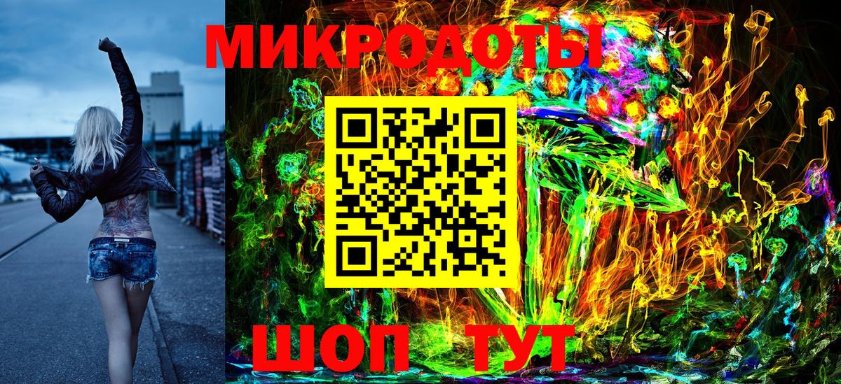 Псилоцибиновые грибы Psilocybine cubensis Мончегорск